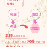 画像295