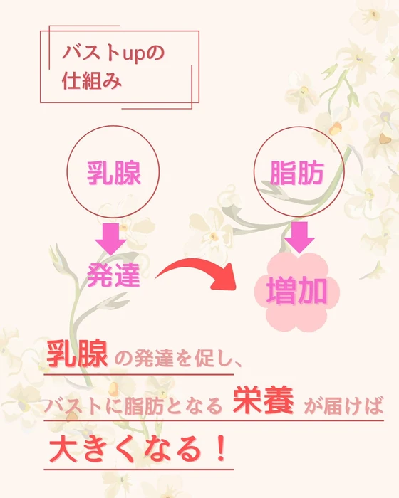 画像295
